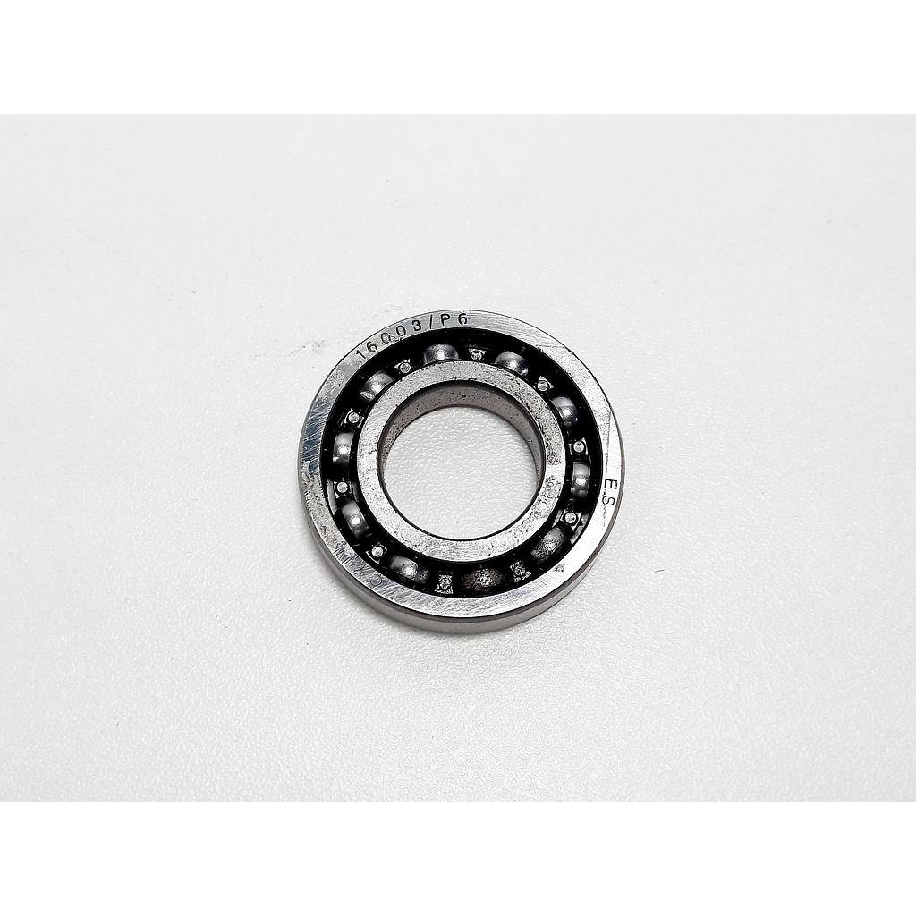 Rodamiento 16003 GL300GP